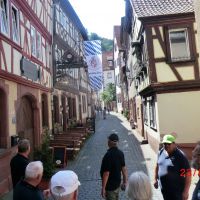 Wanderfahrt des Traditionsachters in Miltenberg