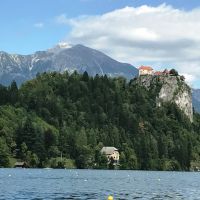 IMG 1650 IMG 1650