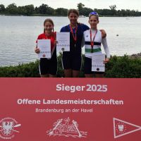 lmbrb bronze charleen
