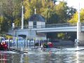 wfwusterwitz rudern10 wfwusterwitz rudern10