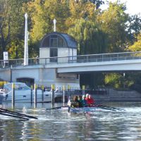 wfwusterwitz rudern10 wfwusterwitz rudern10
