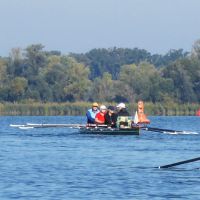wfwusterwitz rudern13 wfwusterwitz rudern13