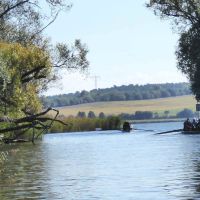 wfwusterwitz rudern14 wfwusterwitz rudern14