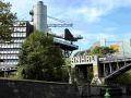 wrtberlin rudern05